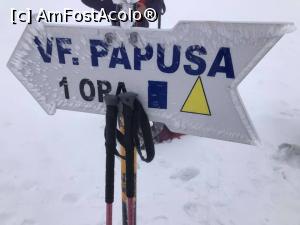 [P17] Mai avem puțin! » foto by Mika
 - 
<span class="allrVoted glyphicon glyphicon-heart hidden" id="av1220775"></span>
<a class="m-l-10 hidden" id="sv1220775" onclick="voting_Foto_DelVot(,1220775,4725)" role="button">șterge vot <span class="glyphicon glyphicon-remove"></span></a>
<a id="v91220775" class=" c-red"  onclick="voting_Foto_SetVot(1220775)" role="button"><span class="glyphicon glyphicon-heart-empty"></span> <b>LIKE</b> = Votează poza</a> <img class="hidden"  id="f1220775W9" src="/imagini/loader.gif" border="0" /><span class="AjErrMes hidden" id="e1220775ErM"></span>