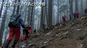 [P06] Am inceput urcușul prin pădurea de molizi » foto by Mika
 - 
<span class="allrVoted glyphicon glyphicon-heart hidden" id="av1220764"></span>
<a class="m-l-10 hidden" id="sv1220764" onclick="voting_Foto_DelVot(,1220764,4725)" role="button">șterge vot <span class="glyphicon glyphicon-remove"></span></a>
<a id="v91220764" class=" c-red"  onclick="voting_Foto_SetVot(1220764)" role="button"><span class="glyphicon glyphicon-heart-empty"></span> <b>LIKE</b> = Votează poza</a> <img class="hidden"  id="f1220764W9" src="/imagini/loader.gif" border="0" /><span class="AjErrMes hidden" id="e1220764ErM"></span>