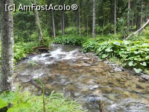 [P25] Pârâul Izerul Mic cu o apă foarte limpede.  » foto by Mika
 - 
<span class="allrVoted glyphicon glyphicon-heart hidden" id="av1116353"></span>
<a class="m-l-10 hidden" id="sv1116353" onclick="voting_Foto_DelVot(,1116353,4725)" role="button">șterge vot <span class="glyphicon glyphicon-remove"></span></a>
<a id="v91116353" class=" c-red"  onclick="voting_Foto_SetVot(1116353)" role="button"><span class="glyphicon glyphicon-heart-empty"></span> <b>LIKE</b> = Votează poza</a> <img class="hidden"  id="f1116353W9" src="/imagini/loader.gif" border="0" /><span class="AjErrMes hidden" id="e1116353ErM"></span>