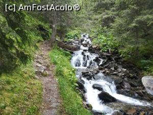 [P05] Traseul urcă pe lângă pârâul Iezer » foto by Mika
 - 
<span class="allrVoted glyphicon glyphicon-heart hidden" id="av1116333"></span>
<a class="m-l-10 hidden" id="sv1116333" onclick="voting_Foto_DelVot(,1116333,4725)" role="button">șterge vot <span class="glyphicon glyphicon-remove"></span></a>
<a id="v91116333" class=" c-red"  onclick="voting_Foto_SetVot(1116333)" role="button"><span class="glyphicon glyphicon-heart-empty"></span> <b>LIKE</b> = Votează poza</a> <img class="hidden"  id="f1116333W9" src="/imagini/loader.gif" border="0" /><span class="AjErrMes hidden" id="e1116333ErM"></span>