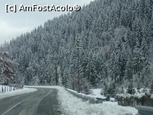 [P01] Drumul spre Cabana Voina - deja ne bucurăm de peisajul mirific.  » foto by tata123 🔱
 - 
<span class="allrVoted glyphicon glyphicon-heart hidden" id="av1052867"></span>
<a class="m-l-10 hidden" id="sv1052867" onclick="voting_Foto_DelVot(,1052867,4725)" role="button">șterge vot <span class="glyphicon glyphicon-remove"></span></a>
<a id="v91052867" class=" c-red"  onclick="voting_Foto_SetVot(1052867)" role="button"><span class="glyphicon glyphicon-heart-empty"></span> <b>LIKE</b> = Votează poza</a> <img class="hidden"  id="f1052867W9" src="/imagini/loader.gif" border="0" /><span class="AjErrMes hidden" id="e1052867ErM"></span>