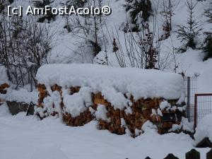 [P10] Protecție împotriva frigului...  » foto by tata123 🔱
 - 
<span class="allrVoted glyphicon glyphicon-heart hidden" id="av1052876"></span>
<a class="m-l-10 hidden" id="sv1052876" onclick="voting_Foto_DelVot(,1052876,4725)" role="button">șterge vot <span class="glyphicon glyphicon-remove"></span></a>
<a id="v91052876" class=" c-red"  onclick="voting_Foto_SetVot(1052876)" role="button"><span class="glyphicon glyphicon-heart-empty"></span> <b>LIKE</b> = Votează poza</a> <img class="hidden"  id="f1052876W9" src="/imagini/loader.gif" border="0" /><span class="AjErrMes hidden" id="e1052876ErM"></span>