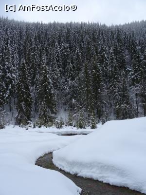 [P19] Râul sinos își croiește drum printre nămeți.  » foto by tata123 🔱
 - 
<span class="allrVoted glyphicon glyphicon-heart hidden" id="av1052885"></span>
<a class="m-l-10 hidden" id="sv1052885" onclick="voting_Foto_DelVot(,1052885,4725)" role="button">șterge vot <span class="glyphicon glyphicon-remove"></span></a>
<a id="v91052885" class=" c-red"  onclick="voting_Foto_SetVot(1052885)" role="button"><span class="glyphicon glyphicon-heart-empty"></span> <b>LIKE</b> = Votează poza</a> <img class="hidden"  id="f1052885W9" src="/imagini/loader.gif" border="0" /><span class="AjErrMes hidden" id="e1052885ErM"></span>