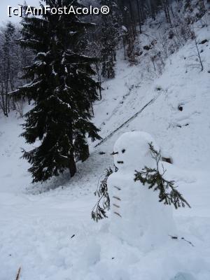 [P07] Un om de zăpadă ne urează „Bine ați venit” pe drumul spre Cuca.  » foto by tata123 🔱
 - 
<span class="allrVoted glyphicon glyphicon-heart hidden" id="av1052873"></span>
<a class="m-l-10 hidden" id="sv1052873" onclick="voting_Foto_DelVot(,1052873,4725)" role="button">șterge vot <span class="glyphicon glyphicon-remove"></span></a>
<a id="v91052873" class=" c-red"  onclick="voting_Foto_SetVot(1052873)" role="button"><span class="glyphicon glyphicon-heart-empty"></span> <b>LIKE</b> = Votează poza</a> <img class="hidden"  id="f1052873W9" src="/imagini/loader.gif" border="0" /><span class="AjErrMes hidden" id="e1052873ErM"></span>