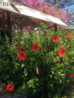 [P06]  -- <small>// FĂRĂ DESCRIERE</small> » foto by Cristian_h
 - 
<span class="allrVoted glyphicon glyphicon-heart hidden" id="av1516778"></span>
<a class="m-l-10 hidden" id="sv1516778" onclick="voting_Foto_DelVot(,1516778,4839)" role="button">șterge vot <span class="glyphicon glyphicon-remove"></span></a>
<a id="v91516778" class=" c-red"  onclick="voting_Foto_SetVot(1516778)" role="button"><span class="glyphicon glyphicon-heart-empty"></span> <b>LIKE</b> = Votează poza</a> <img class="hidden"  id="f1516778W9" src="/imagini/loader.gif" border="0" /><span class="AjErrMes hidden" id="e1516778ErM"></span>