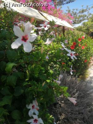 [P07]  -- <small>// FĂRĂ DESCRIERE</small> » foto by Cristian_h
 - 
<span class="allrVoted glyphicon glyphicon-heart hidden" id="av1516779"></span>
<a class="m-l-10 hidden" id="sv1516779" onclick="voting_Foto_DelVot(,1516779,4839)" role="button">șterge vot <span class="glyphicon glyphicon-remove"></span></a>
<a id="v91516779" class=" c-red"  onclick="voting_Foto_SetVot(1516779)" role="button"><span class="glyphicon glyphicon-heart-empty"></span> <b>LIKE</b> = Votează poza</a> <img class="hidden"  id="f1516779W9" src="/imagini/loader.gif" border="0" /><span class="AjErrMes hidden" id="e1516779ErM"></span>