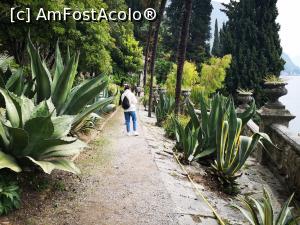 [P05] Varenna; Villa Monastero » foto by crismis
 - 
<span class="allrVoted glyphicon glyphicon-heart hidden" id="av1300169"></span>
<a class="m-l-10 hidden" id="sv1300169" onclick="voting_Foto_DelVot(,1300169,4871)" role="button">șterge vot <span class="glyphicon glyphicon-remove"></span></a>
<a id="v91300169" class=" c-red"  onclick="voting_Foto_SetVot(1300169)" role="button"><span class="glyphicon glyphicon-heart-empty"></span> <b>LIKE</b> = Votează poza</a> <img class="hidden"  id="f1300169W9" src="/imagini/loader.gif" border="0" /><span class="AjErrMes hidden" id="e1300169ErM"></span>