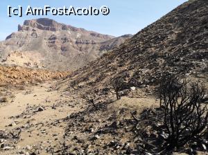 [P44] Vulcanul Teide - peisaj arid, copăcei arși » foto by crismis
 - 
<span class="allrVoted glyphicon glyphicon-heart hidden" id="av1147163"></span>
<a class="m-l-10 hidden" id="sv1147163" onclick="voting_Foto_DelVot(,1147163,4873)" role="button">șterge vot <span class="glyphicon glyphicon-remove"></span></a>
<a id="v91147163" class=" c-red"  onclick="voting_Foto_SetVot(1147163)" role="button"><span class="glyphicon glyphicon-heart-empty"></span> <b>LIKE</b> = Votează poza</a> <img class="hidden"  id="f1147163W9" src="/imagini/loader.gif" border="0" /><span class="AjErrMes hidden" id="e1147163ErM"></span>