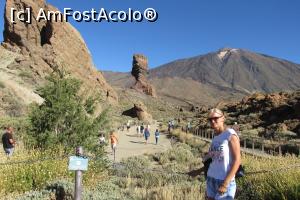 [P91] Teide » foto by Alina Roxana
 - 
<span class="allrVoted glyphicon glyphicon-heart hidden" id="av758445"></span>
<a class="m-l-10 hidden" id="sv758445" onclick="voting_Foto_DelVot(,758445,4873)" role="button">șterge vot <span class="glyphicon glyphicon-remove"></span></a>
<a id="v9758445" class=" c-red"  onclick="voting_Foto_SetVot(758445)" role="button"><span class="glyphicon glyphicon-heart-empty"></span> <b>LIKE</b> = Votează poza</a> <img class="hidden"  id="f758445W9" src="/imagini/loader.gif" border="0" /><span class="AjErrMes hidden" id="e758445ErM"></span>