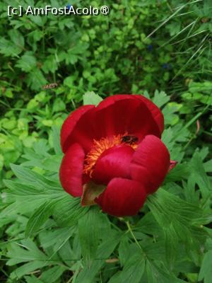 [P03]  -- <small>// FĂRĂ DESCRIERE</small> » foto by Cristian_h
 - 
<span class="allrVoted glyphicon glyphicon-heart hidden" id="av1518518"></span>
<a class="m-l-10 hidden" id="sv1518518" onclick="voting_Foto_DelVot(,1518518,4898)" role="button">șterge vot <span class="glyphicon glyphicon-remove"></span></a>
<a id="v91518518" class=" c-red"  onclick="voting_Foto_SetVot(1518518)" role="button"><span class="glyphicon glyphicon-heart-empty"></span> <b>LIKE</b> = Votează poza</a> <img class="hidden"  id="f1518518W9" src="/imagini/loader.gif" border="0" /><span class="AjErrMes hidden" id="e1518518ErM"></span>