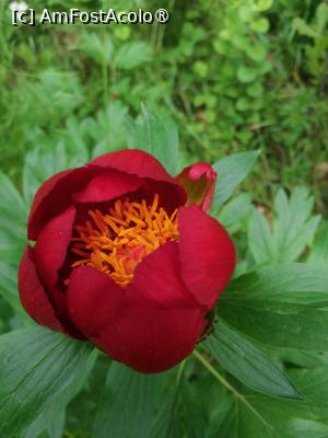 [P05]  -- <small>// FĂRĂ DESCRIERE</small> » foto by Cristian_h
 - 
<span class="allrVoted glyphicon glyphicon-heart hidden" id="av1518520"></span>
<a class="m-l-10 hidden" id="sv1518520" onclick="voting_Foto_DelVot(,1518520,4898)" role="button">șterge vot <span class="glyphicon glyphicon-remove"></span></a>
<a id="v91518520" class=" c-red"  onclick="voting_Foto_SetVot(1518520)" role="button"><span class="glyphicon glyphicon-heart-empty"></span> <b>LIKE</b> = Votează poza</a> <img class="hidden"  id="f1518520W9" src="/imagini/loader.gif" border="0" /><span class="AjErrMes hidden" id="e1518520ErM"></span>