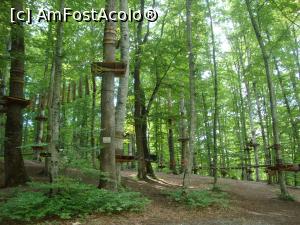 [P64] În vecinătatea pontonului pentru bărcuțe de pe lacul Tineretului este amenajat ”Adrenalin Plus - Parc Aventura Sovata”, iar tiroliana de peste lac este una dintre atracțiile sale.  » foto by Floryn81
 - 
<span class="allrVoted glyphicon glyphicon-heart hidden" id="av721127"></span>
<a class="m-l-10 hidden" id="sv721127" onclick="voting_Foto_DelVot(,721127,4909)" role="button">șterge vot <span class="glyphicon glyphicon-remove"></span></a>
<a id="v9721127" class=" c-red"  onclick="voting_Foto_SetVot(721127)" role="button"><span class="glyphicon glyphicon-heart-empty"></span> <b>LIKE</b> = Votează poza</a> <img class="hidden"  id="f721127W9" src="/imagini/loader.gif" border="0" /><span class="AjErrMes hidden" id="e721127ErM"></span>