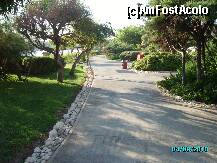 [P33] Alee pe faleza-park Pegasos Planet » foto by aysha
 - 
<span class="allrVoted glyphicon glyphicon-heart hidden" id="av132386"></span>
<a class="m-l-10 hidden" id="sv132386" onclick="voting_Foto_DelVot(,132386,4920)" role="button">șterge vot <span class="glyphicon glyphicon-remove"></span></a>
<a id="v9132386" class=" c-red"  onclick="voting_Foto_SetVot(132386)" role="button"><span class="glyphicon glyphicon-heart-empty"></span> <b>LIKE</b> = Votează poza</a> <img class="hidden"  id="f132386W9" src="/imagini/loader.gif" border="0" /><span class="AjErrMes hidden" id="e132386ErM"></span>