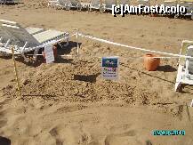 [P49] Unul din locurile in care testoasele au depuse oua in super nisipul de pe plaja Pegasos Planet » foto by aysha
 - 
<span class="allrVoted glyphicon glyphicon-heart hidden" id="av132410"></span>
<a class="m-l-10 hidden" id="sv132410" onclick="voting_Foto_DelVot(,132410,4920)" role="button">șterge vot <span class="glyphicon glyphicon-remove"></span></a>
<a id="v9132410" class=" c-red"  onclick="voting_Foto_SetVot(132410)" role="button"><span class="glyphicon glyphicon-heart-empty"></span> <b>LIKE</b> = Votează poza</a> <img class="hidden"  id="f132410W9" src="/imagini/loader.gif" border="0" /><span class="AjErrMes hidden" id="e132410ErM"></span>