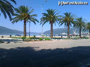 [P13] Faleza și portul din Tivat » foto by costy69
 - 
<span class="allrVoted glyphicon glyphicon-heart hidden" id="av596315"></span>
<a class="m-l-10 hidden" id="sv596315" onclick="voting_Foto_DelVot(,596315,4928)" role="button">șterge vot <span class="glyphicon glyphicon-remove"></span></a>
<a id="v9596315" class=" c-red"  onclick="voting_Foto_SetVot(596315)" role="button"><span class="glyphicon glyphicon-heart-empty"></span> <b>LIKE</b> = Votează poza</a> <img class="hidden"  id="f596315W9" src="/imagini/loader.gif" border="0" /><span class="AjErrMes hidden" id="e596315ErM"></span>