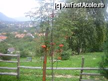 [P15]  -- <small>// FĂRĂ DESCRIERE</small> » foto by roxana.tomina
 - 
<span class="allrVoted glyphicon glyphicon-heart hidden" id="av322051"></span>
<a class="m-l-10 hidden" id="sv322051" onclick="voting_Foto_DelVot(,322051,4963)" role="button">șterge vot <span class="glyphicon glyphicon-remove"></span></a>
<a id="v9322051" class=" c-red"  onclick="voting_Foto_SetVot(322051)" role="button"><span class="glyphicon glyphicon-heart-empty"></span> <b>LIKE</b> = Votează poza</a> <img class="hidden"  id="f322051W9" src="/imagini/loader.gif" border="0" /><span class="AjErrMes hidden" id="e322051ErM"></span>