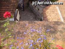 [P05]  -- <small>// FĂRĂ DESCRIERE</small> » foto by roxana.tomina
 - 
<span class="allrVoted glyphicon glyphicon-heart hidden" id="av322038"></span>
<a class="m-l-10 hidden" id="sv322038" onclick="voting_Foto_DelVot(,322038,4963)" role="button">șterge vot <span class="glyphicon glyphicon-remove"></span></a>
<a id="v9322038" class=" c-red"  onclick="voting_Foto_SetVot(322038)" role="button"><span class="glyphicon glyphicon-heart-empty"></span> <b>LIKE</b> = Votează poza</a> <img class="hidden"  id="f322038W9" src="/imagini/loader.gif" border="0" /><span class="AjErrMes hidden" id="e322038ErM"></span>