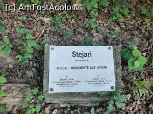 [P18] Către Poiana cu Cetate » foto by adso
 - 
<span class="allrVoted glyphicon glyphicon-heart hidden" id="av1490038"></span>
<a class="m-l-10 hidden" id="sv1490038" onclick="voting_Foto_DelVot(,1490038,5091)" role="button">șterge vot <span class="glyphicon glyphicon-remove"></span></a>
<a id="v91490038" class=" c-red"  onclick="voting_Foto_SetVot(1490038)" role="button"><span class="glyphicon glyphicon-heart-empty"></span> <b>LIKE</b> = Votează poza</a> <img class="hidden"  id="f1490038W9" src="/imagini/loader.gif" border="0" /><span class="AjErrMes hidden" id="e1490038ErM"></span>