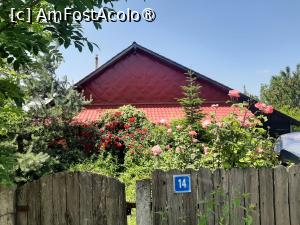 [P31] Poiana cu Cetate » foto by adso
 - 
<span class="allrVoted glyphicon glyphicon-heart hidden" id="av1490051"></span>
<a class="m-l-10 hidden" id="sv1490051" onclick="voting_Foto_DelVot(,1490051,5091)" role="button">șterge vot <span class="glyphicon glyphicon-remove"></span></a>
<a id="v91490051" class=" c-red"  onclick="voting_Foto_SetVot(1490051)" role="button"><span class="glyphicon glyphicon-heart-empty"></span> <b>LIKE</b> = Votează poza</a> <img class="hidden"  id="f1490051W9" src="/imagini/loader.gif" border="0" /><span class="AjErrMes hidden" id="e1490051ErM"></span>