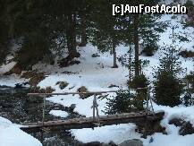 [P16] Valea Popii -Moeciu de Sus- traversarea spre cararea ce duce la Sendroiu » foto by isabel
 - 
<span class="allrVoted glyphicon glyphicon-heart hidden" id="av176824"></span>
<a class="m-l-10 hidden" id="sv176824" onclick="voting_Foto_DelVot(,176824,5116)" role="button">șterge vot <span class="glyphicon glyphicon-remove"></span></a>
<a id="v9176824" class=" c-red"  onclick="voting_Foto_SetVot(176824)" role="button"><span class="glyphicon glyphicon-heart-empty"></span> <b>LIKE</b> = Votează poza</a> <img class="hidden"  id="f176824W9" src="/imagini/loader.gif" border="0" /><span class="AjErrMes hidden" id="e176824ErM"></span>