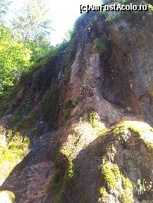 [P03] Cascada din Moeciu De Sus » foto by calinancuta
 - 
<span class="allrVoted glyphicon glyphicon-heart hidden" id="av427482"></span>
<a class="m-l-10 hidden" id="sv427482" onclick="voting_Foto_DelVot(,427482,5116)" role="button">șterge vot <span class="glyphicon glyphicon-remove"></span></a>
<a id="v9427482" class=" c-red"  onclick="voting_Foto_SetVot(427482)" role="button"><span class="glyphicon glyphicon-heart-empty"></span> <b>LIKE</b> = Votează poza</a> <img class="hidden"  id="f427482W9" src="/imagini/loader.gif" border="0" /><span class="AjErrMes hidden" id="e427482ErM"></span>