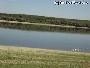 [P01] Braţ al Dunării, la Rasova, un cătun aflat pe drumul spre comuna Ion Corvin.  » foto by Carmen Ion
 - 
<span class="allrVoted glyphicon glyphicon-heart hidden" id="av656015"></span>
<a class="m-l-10 hidden" id="sv656015" onclick="voting_Foto_DelVot(,656015,5136)" role="button">șterge vot <span class="glyphicon glyphicon-remove"></span></a>
<a id="v9656015" class=" c-red"  onclick="voting_Foto_SetVot(656015)" role="button"><span class="glyphicon glyphicon-heart-empty"></span> <b>LIKE</b> = Votează poza</a> <img class="hidden"  id="f656015W9" src="/imagini/loader.gif" border="0" /><span class="AjErrMes hidden" id="e656015ErM"></span>