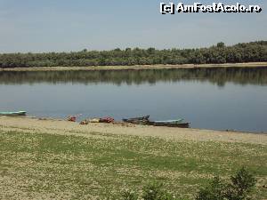 [P02] Bărci de pescari trase la mal în satul Rasova.  » foto by Carmen Ion
 - 
<span class="allrVoted glyphicon glyphicon-heart hidden" id="av656016"></span>
<a class="m-l-10 hidden" id="sv656016" onclick="voting_Foto_DelVot(,656016,5136)" role="button">șterge vot <span class="glyphicon glyphicon-remove"></span></a>
<a id="v9656016" class=" c-red"  onclick="voting_Foto_SetVot(656016)" role="button"><span class="glyphicon glyphicon-heart-empty"></span> <b>LIKE</b> = Votează poza</a> <img class="hidden"  id="f656016W9" src="/imagini/loader.gif" border="0" /><span class="AjErrMes hidden" id="e656016ErM"></span>