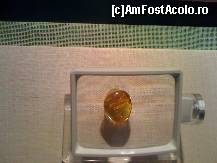 [P06]  -- <small>// FĂRĂ DESCRIERE</small> » foto by florinene* †
 - 
<span class="allrVoted glyphicon glyphicon-heart hidden" id="av56576"></span>
<a class="m-l-10 hidden" id="sv56576" onclick="voting_Foto_DelVot(,56576,5161)" role="button">șterge vot <span class="glyphicon glyphicon-remove"></span></a>
<a id="v956576" class=" c-red"  onclick="voting_Foto_SetVot(56576)" role="button"><span class="glyphicon glyphicon-heart-empty"></span> <b>LIKE</b> = Votează poza</a> <img class="hidden"  id="f56576W9" src="/imagini/loader.gif" border="0" /><span class="AjErrMes hidden" id="e56576ErM"></span>