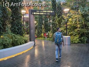 [P08] Aeroport Doha » foto by crismis
 - 
<span class="allrVoted glyphicon glyphicon-heart hidden" id="av1534526"></span>
<a class="m-l-10 hidden" id="sv1534526" onclick="voting_Foto_DelVot(,1534526,5166)" role="button">șterge vot <span class="glyphicon glyphicon-remove"></span></a>
<a id="v91534526" class=" c-red"  onclick="voting_Foto_SetVot(1534526)" role="button"><span class="glyphicon glyphicon-heart-empty"></span> <b>LIKE</b> = Votează poza</a> <img class="hidden"  id="f1534526W9" src="/imagini/loader.gif" border="0" /><span class="AjErrMes hidden" id="e1534526ErM"></span>
