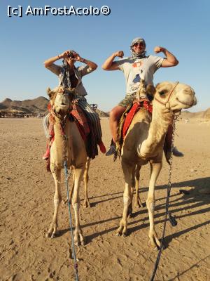 [P11] Cu taxiul in desert.  » foto by mosu67
 - 
<span class="allrVoted glyphicon glyphicon-heart hidden" id="av1110306"></span>
<a class="m-l-10 hidden" id="sv1110306" onclick="voting_Foto_DelVot(,1110306,5248)" role="button">șterge vot <span class="glyphicon glyphicon-remove"></span></a>
<a id="v91110306" class=" c-red"  onclick="voting_Foto_SetVot(1110306)" role="button"><span class="glyphicon glyphicon-heart-empty"></span> <b>LIKE</b> = Votează poza</a> <img class="hidden"  id="f1110306W9" src="/imagini/loader.gif" border="0" /><span class="AjErrMes hidden" id="e1110306ErM"></span>