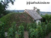 [P04] Tumul-ul acesta ('galma') e crama (se intra prin casa) unde poti gusta tot ce are proprietarul de oferit in materie de vin - indiferent daca cumperi sau nu. » foto by Alexandru G.*
 - 
<span class="allrVoted glyphicon glyphicon-heart hidden" id="av291356"></span>
<a class="m-l-10 hidden" id="sv291356" onclick="voting_Foto_DelVot(,291356,5303)" role="button">șterge vot <span class="glyphicon glyphicon-remove"></span></a>
<a id="v9291356" class=" c-red"  onclick="voting_Foto_SetVot(291356)" role="button"><span class="glyphicon glyphicon-heart-empty"></span> <b>LIKE</b> = Votează poza</a> <img class="hidden"  id="f291356W9" src="/imagini/loader.gif" border="0" /><span class="AjErrMes hidden" id="e291356ErM"></span>