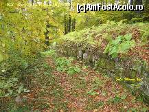 [P29] Cetatea din munte are 3 hectare imprejmuita de zidul gros de piatra....oare cum au reusit romanii sa o cucereasca ? De la zid inafara este prapastie de jur imprejur, este greu sa urc prin padure acum .....dar atunci cu armura....vedeti zidul ce il urmez pana la poarta principala.... » foto by realitatea
 - 
<span class="allrVoted glyphicon glyphicon-heart hidden" id="av150268"></span>
<a class="m-l-10 hidden" id="sv150268" onclick="voting_Foto_DelVot(,150268,5311)" role="button">șterge vot <span class="glyphicon glyphicon-remove"></span></a>
<a id="v9150268" class=" c-red"  onclick="voting_Foto_SetVot(150268)" role="button"><span class="glyphicon glyphicon-heart-empty"></span> <b>LIKE</b> = Votează poza</a> <img class="hidden"  id="f150268W9" src="/imagini/loader.gif" border="0" /><span class="AjErrMes hidden" id="e150268ErM"></span>