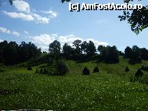 [P03] Pasune in spatele pensiunii » foto by Gherase
 - 
<span class="allrVoted glyphicon glyphicon-heart hidden" id="av244734"></span>
<a class="m-l-10 hidden" id="sv244734" onclick="voting_Foto_DelVot(,244734,5349)" role="button">șterge vot <span class="glyphicon glyphicon-remove"></span></a>
<a id="v9244734" class=" c-red"  onclick="voting_Foto_SetVot(244734)" role="button"><span class="glyphicon glyphicon-heart-empty"></span> <b>LIKE</b> = Votează poza</a> <img class="hidden"  id="f244734W9" src="/imagini/loader.gif" border="0" /><span class="AjErrMes hidden" id="e244734ErM"></span>