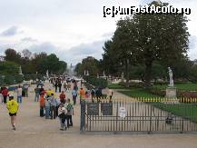 [P06] jardin des Tuileries » foto by aalinutza18
 - 
<span class="allrVoted glyphicon glyphicon-heart hidden" id="av62293"></span>
<a class="m-l-10 hidden" id="sv62293" onclick="voting_Foto_DelVot(,62293,5372)" role="button">șterge vot <span class="glyphicon glyphicon-remove"></span></a>
<a id="v962293" class=" c-red"  onclick="voting_Foto_SetVot(62293)" role="button"><span class="glyphicon glyphicon-heart-empty"></span> <b>LIKE</b> = Votează poza</a> <img class="hidden"  id="f62293W9" src="/imagini/loader.gif" border="0" /><span class="AjErrMes hidden" id="e62293ErM"></span>