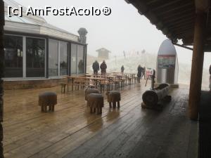 [P17] Asta inca e bine!  » foto by mishu
 - 
<span class="allrVoted glyphicon glyphicon-heart hidden" id="av990282"></span>
<a class="m-l-10 hidden" id="sv990282" onclick="voting_Foto_DelVot(,990282,5408)" role="button">șterge vot <span class="glyphicon glyphicon-remove"></span></a>
<a id="v9990282" class=" c-red"  onclick="voting_Foto_SetVot(990282)" role="button"><span class="glyphicon glyphicon-heart-empty"></span> <b>LIKE</b> = Votează poza</a> <img class="hidden"  id="f990282W9" src="/imagini/loader.gif" border="0" /><span class="AjErrMes hidden" id="e990282ErM"></span>