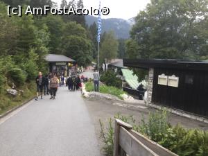 [P49] Si ne continuam drumul » foto by mishu
 - 
<span class="allrVoted glyphicon glyphicon-heart hidden" id="av990322"></span>
<a class="m-l-10 hidden" id="sv990322" onclick="voting_Foto_DelVot(,990322,5408)" role="button">șterge vot <span class="glyphicon glyphicon-remove"></span></a>
<a id="v9990322" class=" c-red"  onclick="voting_Foto_SetVot(990322)" role="button"><span class="glyphicon glyphicon-heart-empty"></span> <b>LIKE</b> = Votează poza</a> <img class="hidden"  id="f990322W9" src="/imagini/loader.gif" border="0" /><span class="AjErrMes hidden" id="e990322ErM"></span>
