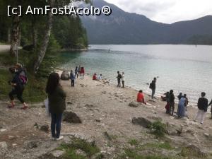 [P52] Lumea se simte bine » foto by mishu
 - 
<span class="allrVoted glyphicon glyphicon-heart hidden" id="av990325"></span>
<a class="m-l-10 hidden" id="sv990325" onclick="voting_Foto_DelVot(,990325,5408)" role="button">șterge vot <span class="glyphicon glyphicon-remove"></span></a>
<a id="v9990325" class=" c-red"  onclick="voting_Foto_SetVot(990325)" role="button"><span class="glyphicon glyphicon-heart-empty"></span> <b>LIKE</b> = Votează poza</a> <img class="hidden"  id="f990325W9" src="/imagini/loader.gif" border="0" /><span class="AjErrMes hidden" id="e990325ErM"></span>