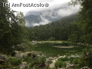 [P60] Si un alt peisaj de poveste » foto by mishu
 - 
<span class="allrVoted glyphicon glyphicon-heart hidden" id="av990333"></span>
<a class="m-l-10 hidden" id="sv990333" onclick="voting_Foto_DelVot(,990333,5408)" role="button">șterge vot <span class="glyphicon glyphicon-remove"></span></a>
<a id="v9990333" class=" c-red"  onclick="voting_Foto_SetVot(990333)" role="button"><span class="glyphicon glyphicon-heart-empty"></span> <b>LIKE</b> = Votează poza</a> <img class="hidden"  id="f990333W9" src="/imagini/loader.gif" border="0" /><span class="AjErrMes hidden" id="e990333ErM"></span>