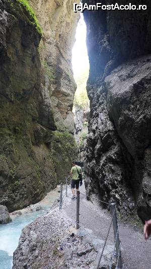 [P06] Fereastra spre lume.  » foto by GIN2015*
 - 
<span class="allrVoted glyphicon glyphicon-heart hidden" id="av647468"></span>
<a class="m-l-10 hidden" id="sv647468" onclick="voting_Foto_DelVot(,647468,5408)" role="button">șterge vot <span class="glyphicon glyphicon-remove"></span></a>
<a id="v9647468" class=" c-red"  onclick="voting_Foto_SetVot(647468)" role="button"><span class="glyphicon glyphicon-heart-empty"></span> <b>LIKE</b> = Votează poza</a> <img class="hidden"  id="f647468W9" src="/imagini/loader.gif" border="0" /><span class="AjErrMes hidden" id="e647468ErM"></span>