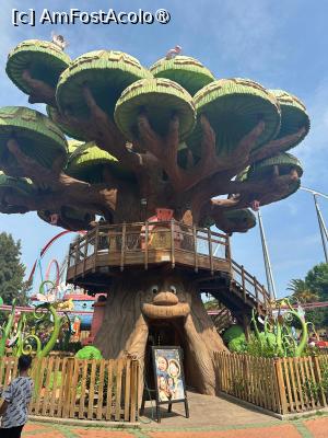 [P24] PortAventura » foto by MaraMura
 - 
<span class="allrVoted glyphicon glyphicon-heart hidden" id="av1487952"></span>
<a class="m-l-10 hidden" id="sv1487952" onclick="voting_Foto_DelVot(,1487952,5455)" role="button">șterge vot <span class="glyphicon glyphicon-remove"></span></a>
<a id="v91487952" class=" c-red"  onclick="voting_Foto_SetVot(1487952)" role="button"><span class="glyphicon glyphicon-heart-empty"></span> <b>LIKE</b> = Votează poza</a> <img class="hidden"  id="f1487952W9" src="/imagini/loader.gif" border="0" /><span class="AjErrMes hidden" id="e1487952ErM"></span>