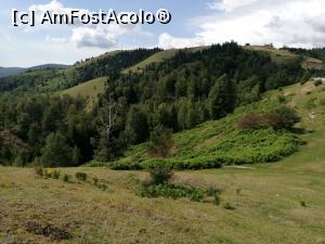 [P55] Transalpina » foto by crismis
 - 
<span class="allrVoted glyphicon glyphicon-heart hidden" id="av925304"></span>
<a class="m-l-10 hidden" id="sv925304" onclick="voting_Foto_DelVot(,925304,5504)" role="button">șterge vot <span class="glyphicon glyphicon-remove"></span></a>
<a id="v9925304" class=" c-red"  onclick="voting_Foto_SetVot(925304)" role="button"><span class="glyphicon glyphicon-heart-empty"></span> <b>LIKE</b> = Votează poza</a> <img class="hidden"  id="f925304W9" src="/imagini/loader.gif" border="0" /><span class="AjErrMes hidden" id="e925304ErM"></span>