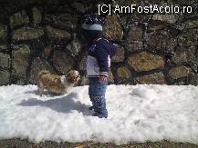 [P07] zapada pe marginea drumului » foto by Alina Morar
 - 
<span class="allrVoted glyphicon glyphicon-heart hidden" id="av79047"></span>
<a class="m-l-10 hidden" id="sv79047" onclick="voting_Foto_DelVot(,79047,5517)" role="button">șterge vot <span class="glyphicon glyphicon-remove"></span></a>
<a id="v979047" class=" c-red"  onclick="voting_Foto_SetVot(79047)" role="button"><span class="glyphicon glyphicon-heart-empty"></span> <b>LIKE</b> = Votează poza</a> <img class="hidden"  id="f79047W9" src="/imagini/loader.gif" border="0" /><span class="AjErrMes hidden" id="e79047ErM"></span>