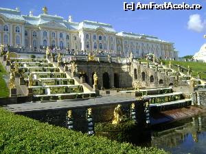 [P04] palatul Peterhof si cascada cu statui-Sankt Petersburg » foto by samantha
 - 
<span class="allrVoted glyphicon glyphicon-heart hidden" id="av524739"></span>
<a class="m-l-10 hidden" id="sv524739" onclick="voting_Foto_DelVot(,524739,5579)" role="button">șterge vot <span class="glyphicon glyphicon-remove"></span></a>
<a id="v9524739" class=" c-red"  onclick="voting_Foto_SetVot(524739)" role="button"><span class="glyphicon glyphicon-heart-empty"></span> <b>LIKE</b> = Votează poza</a> <img class="hidden"  id="f524739W9" src="/imagini/loader.gif" border="0" /><span class="AjErrMes hidden" id="e524739ErM"></span>