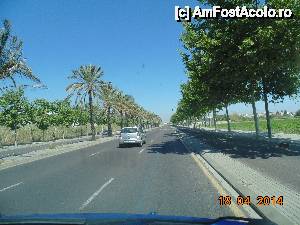 [P02] strada din Valencia » foto by Denisa13
 - 
<span class="allrVoted glyphicon glyphicon-heart hidden" id="av512135"></span>
<a class="m-l-10 hidden" id="sv512135" onclick="voting_Foto_DelVot(,512135,5604)" role="button">șterge vot <span class="glyphicon glyphicon-remove"></span></a>
<a id="v9512135" class=" c-red"  onclick="voting_Foto_SetVot(512135)" role="button"><span class="glyphicon glyphicon-heart-empty"></span> <b>LIKE</b> = Votează poza</a> <img class="hidden"  id="f512135W9" src="/imagini/loader.gif" border="0" /><span class="AjErrMes hidden" id="e512135ErM"></span>