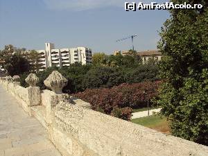 [P17] Puente del Real şi, dedesubt. Jardin del Turia.  » foto by Carmen Ion
 - 
<span class="allrVoted glyphicon glyphicon-heart hidden" id="av649993"></span>
<a class="m-l-10 hidden" id="sv649993" onclick="voting_Foto_DelVot(,649993,5604)" role="button">șterge vot <span class="glyphicon glyphicon-remove"></span></a>
<a id="v9649993" class=" c-red"  onclick="voting_Foto_SetVot(649993)" role="button"><span class="glyphicon glyphicon-heart-empty"></span> <b>LIKE</b> = Votează poza</a> <img class="hidden"  id="f649993W9" src="/imagini/loader.gif" border="0" /><span class="AjErrMes hidden" id="e649993ErM"></span>