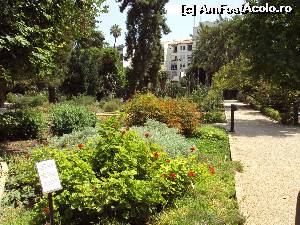 [P23] Straturi de flori, cu explicaţiile aferente, în Jardin Botanico.  » foto by Carmen Ion
 - 
<span class="allrVoted glyphicon glyphicon-heart hidden" id="av650003"></span>
<a class="m-l-10 hidden" id="sv650003" onclick="voting_Foto_DelVot(,650003,5604)" role="button">șterge vot <span class="glyphicon glyphicon-remove"></span></a>
<a id="v9650003" class=" c-red"  onclick="voting_Foto_SetVot(650003)" role="button"><span class="glyphicon glyphicon-heart-empty"></span> <b>LIKE</b> = Votează poza</a> <img class="hidden"  id="f650003W9" src="/imagini/loader.gif" border="0" /><span class="AjErrMes hidden" id="e650003ErM"></span>