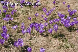 [P01] Masivul Rarau, tura foto cu studentii lui Adi,  » foto by danaeldreny*
 - 
<span class="allrVoted glyphicon glyphicon-heart hidden" id="av854950"></span>
<a class="m-l-10 hidden" id="sv854950" onclick="voting_Foto_DelVot(,854950,5760)" role="button">șterge vot <span class="glyphicon glyphicon-remove"></span></a>
<a id="v9854950" class=" c-red"  onclick="voting_Foto_SetVot(854950)" role="button"><span class="glyphicon glyphicon-heart-empty"></span> <b>LIKE</b> = Votează poza</a> <img class="hidden"  id="f854950W9" src="/imagini/loader.gif" border="0" /><span class="AjErrMes hidden" id="e854950ErM"></span>