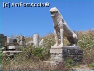 [P21] In Delos se ajunge usor, e insula sacra a Cicladelor si e vecina cu Mykonos » foto by dorgo
 - 
<span class="allrVoted glyphicon glyphicon-heart hidden" id="av1258758"></span>
<a class="m-l-10 hidden" id="sv1258758" onclick="voting_Foto_DelVot(,1258758,5760)" role="button">șterge vot <span class="glyphicon glyphicon-remove"></span></a>
<a id="v91258758" class=" c-red"  onclick="voting_Foto_SetVot(1258758)" role="button"><span class="glyphicon glyphicon-heart-empty"></span> <b>LIKE</b> = Votează poza</a> <img class="hidden"  id="f1258758W9" src="/imagini/loader.gif" border="0" /><span class="AjErrMes hidden" id="e1258758ErM"></span>