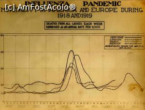 [P02] Comparatie intre diferite orase din Europa (Paris, Londra, Berlin) si New-York, privind intensitatea pandemiei de gripa din anul 1918-1919 » foto by dorgo
 - 
<span class="allrVoted glyphicon glyphicon-heart hidden" id="av1150253"></span>
<a class="m-l-10 hidden" id="sv1150253" onclick="voting_Foto_DelVot(,1150253,5760)" role="button">șterge vot <span class="glyphicon glyphicon-remove"></span></a>
<a id="v91150253" class=" c-red"  onclick="voting_Foto_SetVot(1150253)" role="button"><span class="glyphicon glyphicon-heart-empty"></span> <b>LIKE</b> = Votează poza</a> <img class="hidden"  id="f1150253W9" src="/imagini/loader.gif" border="0" /><span class="AjErrMes hidden" id="e1150253ErM"></span>