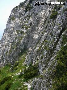 [P20] Un alt perete de calcar, pe la baza caruia se poate vedea poteca » foto by Claudiu U.
 - 
<span class="allrVoted glyphicon glyphicon-heart hidden" id="av243450"></span>
<a class="m-l-10 hidden" id="sv243450" onclick="voting_Foto_DelVot(,243450,5764)" role="button">șterge vot <span class="glyphicon glyphicon-remove"></span></a>
<a id="v9243450" class=" c-red"  onclick="voting_Foto_SetVot(243450)" role="button"><span class="glyphicon glyphicon-heart-empty"></span> <b>LIKE</b> = Votează poza</a> <img class="hidden"  id="f243450W9" src="/imagini/loader.gif" border="0" /><span class="AjErrMes hidden" id="e243450ErM"></span>